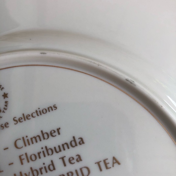 Gorham 1976 America Pink Roses True Vintage Fine China Porcelain Art Plate - Picture 12 of 12